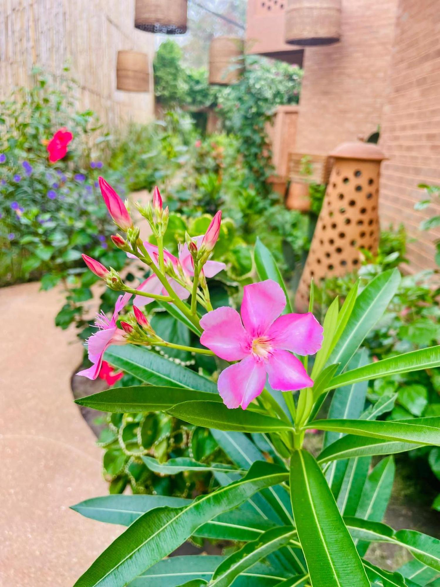 Le Patio Hotell Lomé Eksteriør bilde