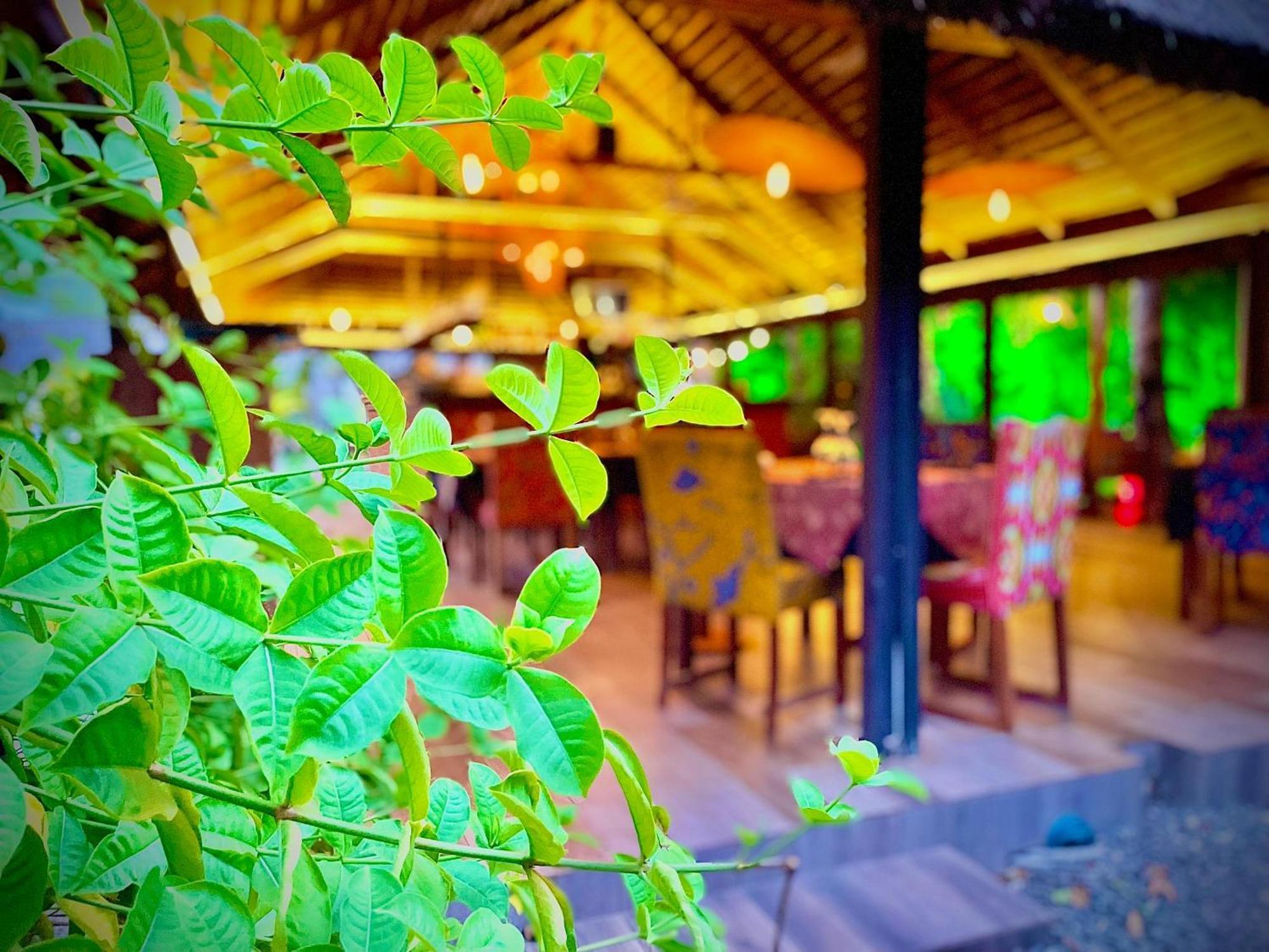Le Patio Hotell Lomé Eksteriør bilde